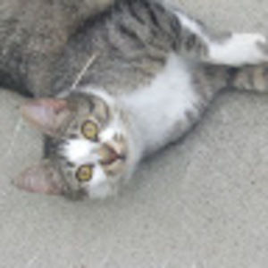 Meet your Posher, Jackie